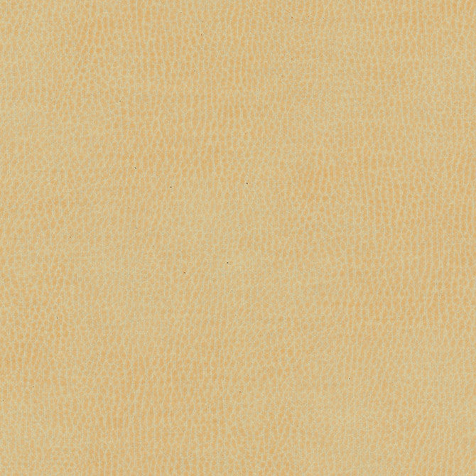 Top Grain-Nj # 840 Boer by Maxwell Fabric Memos Only-Coated Fabrics FACE: 100% SILICONE
BACKING: 100% POLYESTER KOREA 54" - Fabric Carolina -