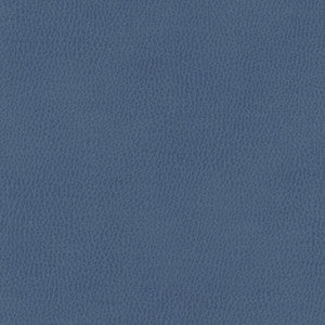 Top Grain-Nj # 843 Sea Bed by Maxwell Fabric