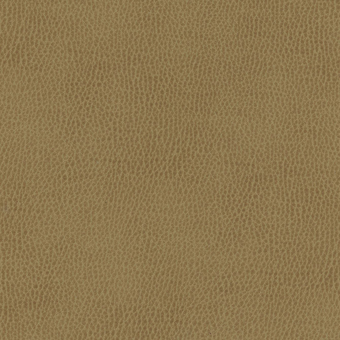 Top Grain-Nj # 845 Moss by Maxwell Fabric Memos Only-Coated Fabrics FACE: 100% SILICONE
BACKING: 100% POLYESTER KOREA 54" - Fabric Carolina -