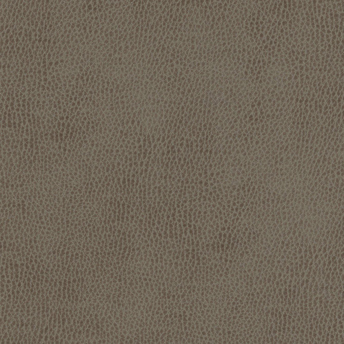 Top Grain-Nj # 846 Campolina by Maxwell Fabric Memos Only-Coated Fabrics FACE: 100% SILICONE
BACKING: 100% POLYESTER KOREA 54" - Fabric Carolina -