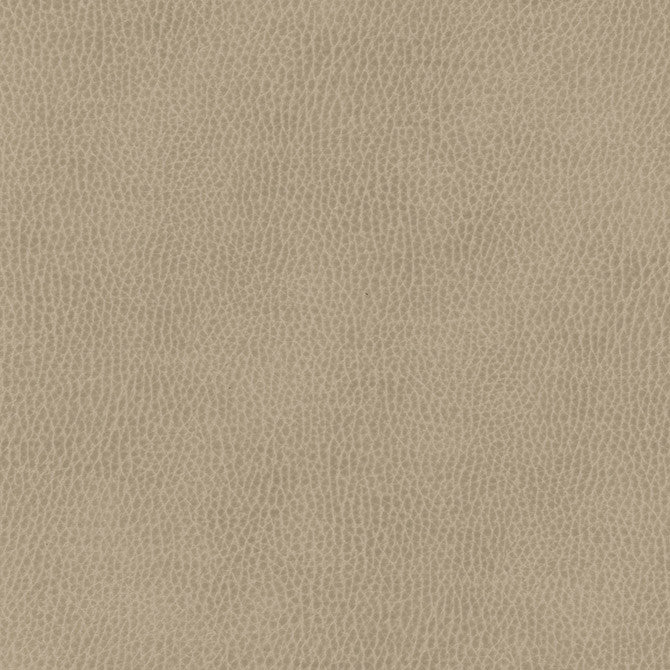 Top Grain-Nj # 848 Konik by Maxwell Designer Fabric Memos Only-Coated Fabrics FACE: 100% SILICONE
BACKING: 100% POLYESTER KOREA 54" - Swanky Fabrics -