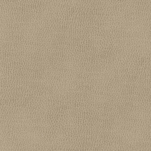 Top Grain-Nj # 848 Konik by Maxwell Fabric