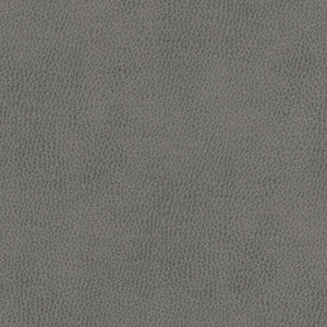 Top Grain-Nj # 850 Cement by Maxwell Fabric