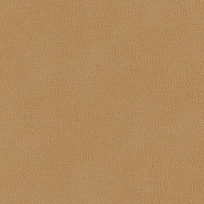 Top Grain-Nj # 854 Sourdough by Maxwell Fabric Memos Only-Coated Fabrics FACE: 100% SILICONE
BACKING: 100% POLYESTER KOREA 54" - Fabric Carolina -