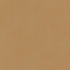 Top Grain-Nj # 854 Sourdough by Maxwell Fabric