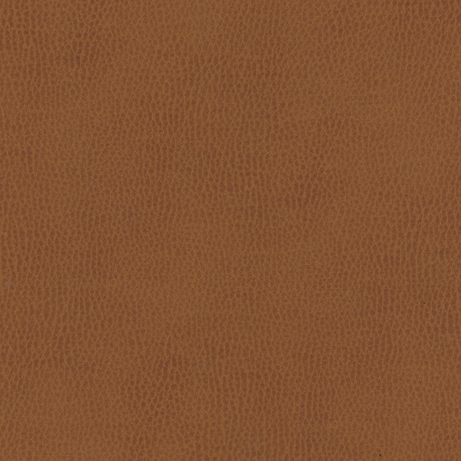 Top Grain-Nj # 855 Oldenburg by Maxwell Fabric Memos Only-Coated Fabrics FACE: 100% SILICONE
BACKING: 100% POLYESTER KOREA 54" - Fabric Carolina -