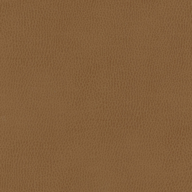 Top Grain-Nj # 856 Paso by Maxwell Fabric Memos Only-Coated Fabrics FACE: 100% SILICONE
BACKING: 100% POLYESTER KOREA 54" - Fabric Carolina -