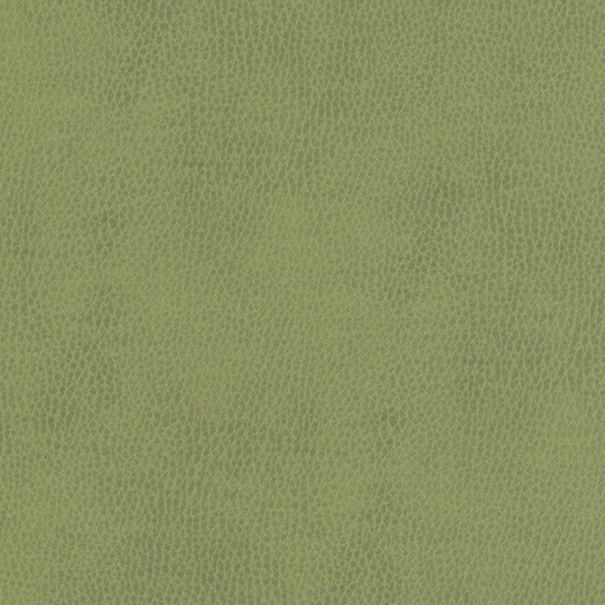 Top Grain-Nj # 857 Celery by Maxwell Fabric Memos Only-Coated Fabrics FACE: 100% SILICONE
BACKING: 100% POLYESTER KOREA 54" - Fabric Carolina -