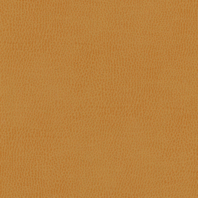Top Grain-Nj # 858 Squash by Maxwell Designer Fabric Memos Only-Coated Fabrics FACE: 100% SILICONE
BACKING: 100% POLYESTER KOREA 54" - Swanky Fabrics -