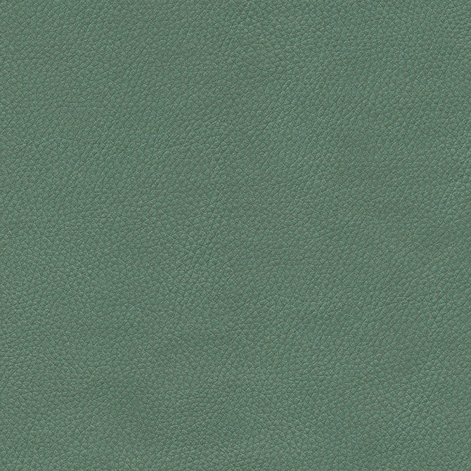 Top Grain-Nj # 859 Spruce by Maxwell Fabric Memos Only-Coated Fabrics FACE: 100% SILICONE
BACKING: 100% POLYESTER KOREA 54" - Fabric Carolina -