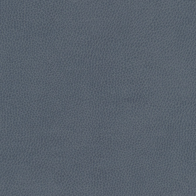 Top Grain-Nj # 860 Sea by Maxwell Fabric Memos Only-Coated Fabrics FACE: 100% SILICONE
BACKING: 100% POLYESTER KOREA 54" - Fabric Carolina -