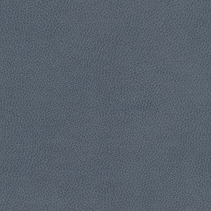 Top Grain-Nj # 860 Sea by Maxwell Fabric