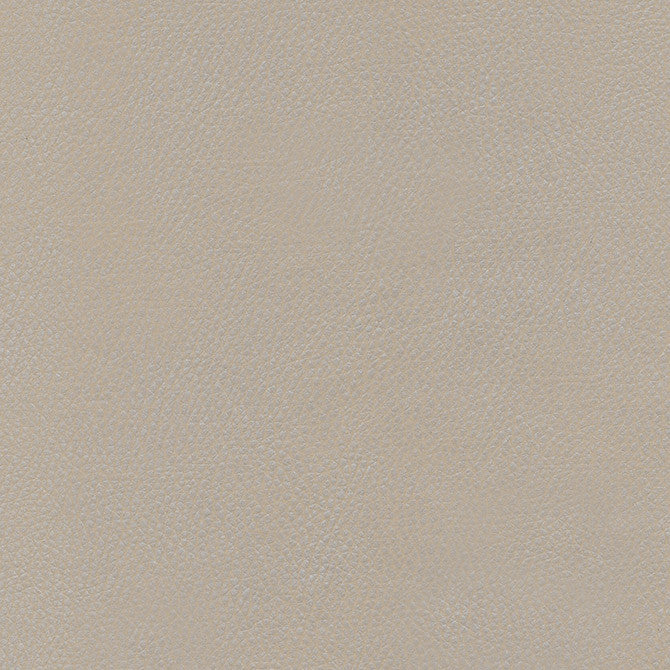 Top Grain-Nj # 861 Criollo by Maxwell Fabric Memos Only-Coated Fabrics FACE: 100% SILICONE
BACKING: 100% POLYESTER KOREA 54" - Fabric Carolina -