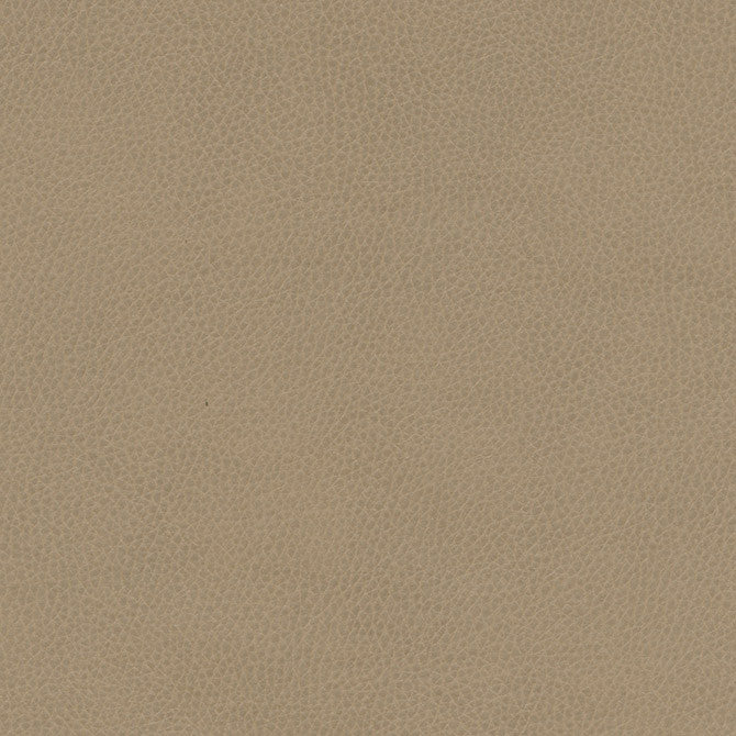 Top Grain-Nj # 864 Grey Hound by Maxwell Fabric Memos Only-Coated Fabrics FACE: 100% SILICONE
BACKING: 100% POLYESTER KOREA 54" - Fabric Carolina -