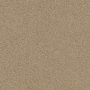 Top Grain-Nj # 864 Grey Hound by Maxwell Fabric