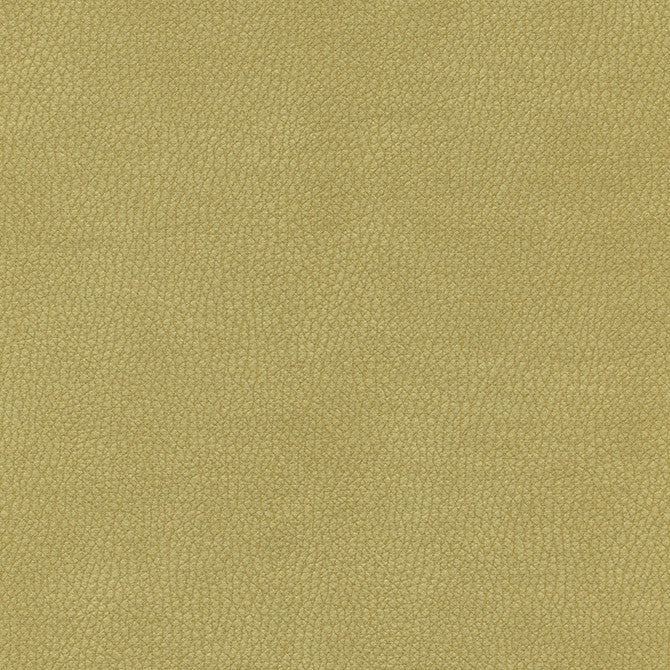 Top Grain-Nj # 865 Calla by Maxwell Designer Fabric Memos Only-Coated Fabrics FACE: 100% SILICONE
BACKING: 100% POLYESTER KOREA 54" - Swanky Fabrics -