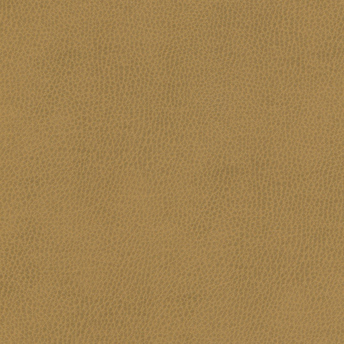 Top Grain-Nj # 866 Coin by Maxwell Fabric Memos Only-Coated Fabrics FACE: 100% SILICONE
BACKING: 100% POLYESTER KOREA 54" - Fabric Carolina -