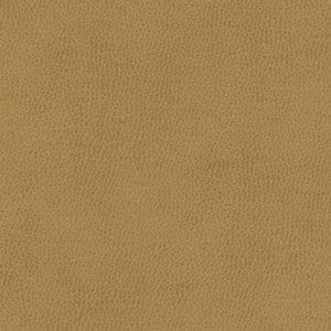 Top Grain-Nj # 866 Coin by Maxwell Fabric