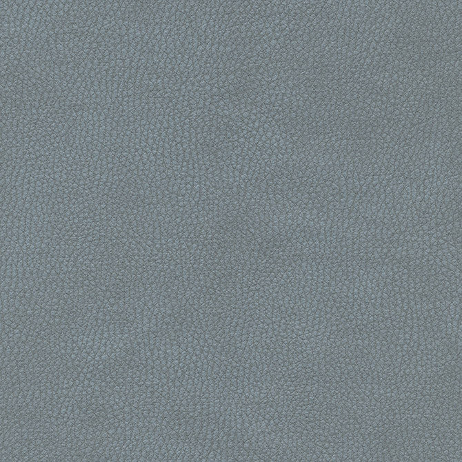 Top Grain-Nj # 867 Harbor by Maxwell Fabric Memos Only-Coated Fabrics FACE: 100% SILICONE
BACKING: 100% POLYESTER KOREA 54" - Fabric Carolina -