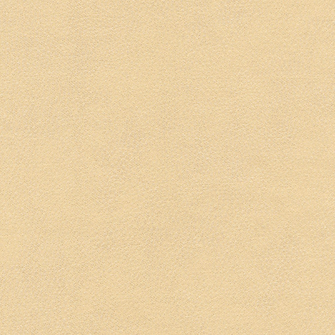 Top Grain-Nj # 868 Brumby by Maxwell Fabric Memos Only-Coated Fabrics FACE: 100% SILICONE
BACKING: 100% POLYESTER KOREA 54" - Fabric Carolina -
