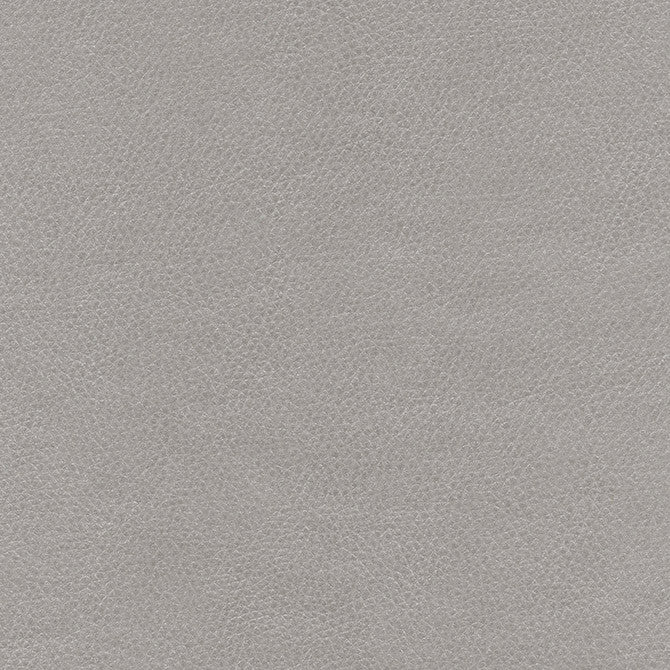 Top Grain-Nj # 869 Barb by Maxwell Fabric Memos Only-Coated Fabrics FACE: 100% SILICONE
BACKING: 100% POLYESTER KOREA 54" - Fabric Carolina -