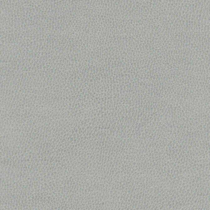Top Grain-Nj 871 Bell by Maxwell Fabric MEMOS ONLY-COATED FABRICS FACE: 100% SILICONE KOREA   54"  - Fabric Carolina -