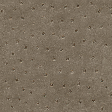 Twitter-Nj # 290 Pigeon by Maxwell Fabric Memos Only-Coated Fabrics FACE: 100% PVC
BACKING: 65% POLYESTER
35% COTTON KOREA 54" - Fabric Carolina -