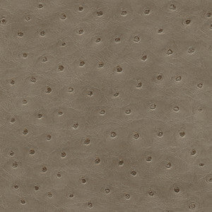 Twitter-Nj # 290 Pigeon by Maxwell Fabric
