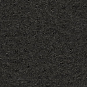 Twitter-Nj # 291 Jet by Maxwell Fabric