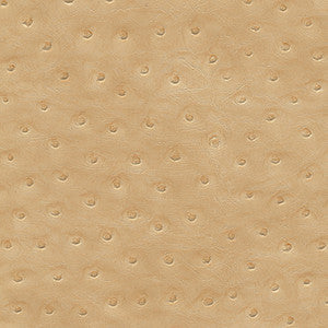 Twitter-Nj 298 Wheat by Maxwell Fabric