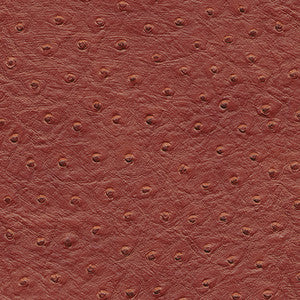Twitter-Nj 299 Borscht by Maxwell Fabric