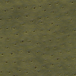 Twitter-Nj # 302 Sage by Maxwell Fabric
