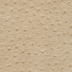 Twitter-Nj # 305 Husk by Maxwell Fabric
