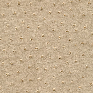 Twitter-Nj # 305 Husk by Maxwell Fabric