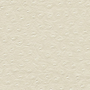 Twitter-Nj # 306 Daisy by Maxwell Fabric