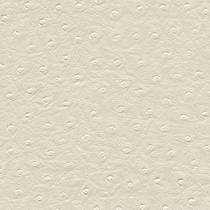 Twitter-Nj # 306 Daisy by Maxwell Fabric