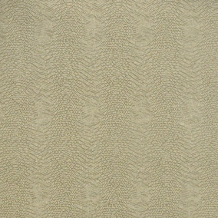 Taipan # 736 Pigeon by Maxwell Fabric Easy Rider Viii FACE: 100% POLYURETHANE (POLYCARBONATE)
BACKING: 100% POLYESTER KOREA V-4.5" H-3" 54" - Fabric Carolina -