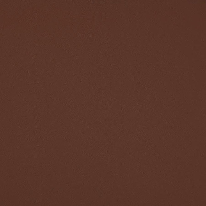 Trailrider # 101 Cedar by Maxwell Fabric Trailrider FACE: 100% POLYURETHANE (POLYCARBONATE)
BACKING: 100% POLYESTER CHINA 54" - Fabric Carolina -
