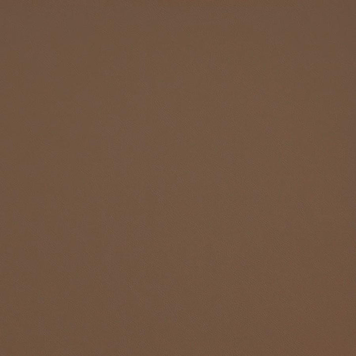 Trailrider # 107 Tan by Maxwell Fabric Trailrider FACE: 100% POLYURETHANE (POLYCARBONATE)
BACKING: 100% POLYESTER CHINA 54" - Fabric Carolina -