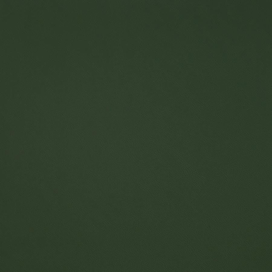 Trailrider # 109 Grass by Maxwell Designer Fabric Trailrider FACE: 100% POLYURETHANE (POLYCARBONATE)
BACKING: 100% POLYESTER CHINA 54" - Swanky Fabrics -