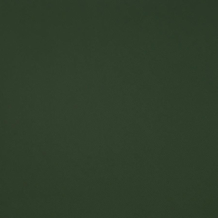 Trailrider # 109 Grass by Maxwell Designer Fabric Trailrider FACE: 100% POLYURETHANE (POLYCARBONATE)
BACKING: 100% POLYESTER CHINA 54" - Swanky Fabrics -