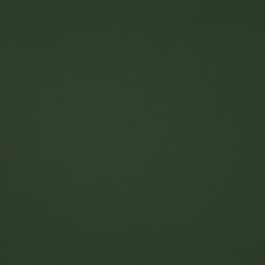 Trailrider # 109 Grass by Maxwell Fabric