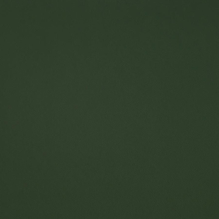 Trailrider # 109 Grass by Maxwell Fabric Trailrider FACE: 100% POLYURETHANE (POLYCARBONATE)
BACKING: 100% POLYESTER CHINA 54" - Fabric Carolina -