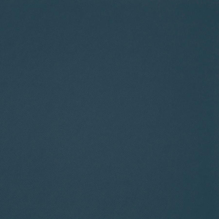 Trailrider # 110 Ocean by Maxwell Fabric Trailrider FACE: 100% POLYURETHANE (POLYCARBONATE)
BACKING: 100% POLYESTER CHINA 54" - Fabric Carolina -