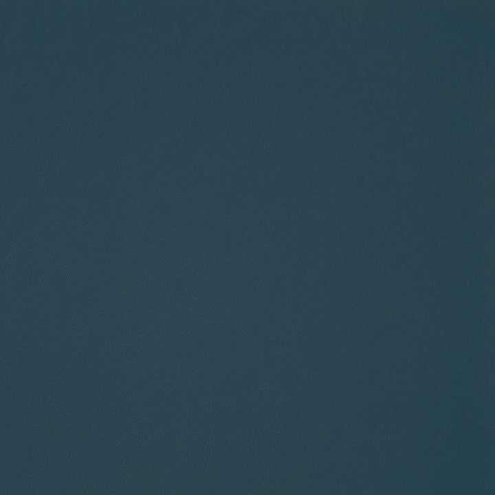Trailrider # 110 Ocean by Maxwell Designer Fabric Trailrider FACE: 100% POLYURETHANE (POLYCARBONATE)
BACKING: 100% POLYESTER CHINA 54" - Swanky Fabrics -
