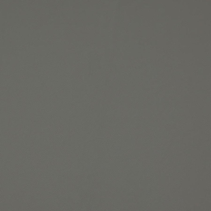 Trailrider # 114 Sharkskin by Maxwell Fabric Trailrider FACE: 100% POLYURETHANE (POLYCARBONATE)
BACKING: 100% POLYESTER CHINA 54" - Fabric Carolina -