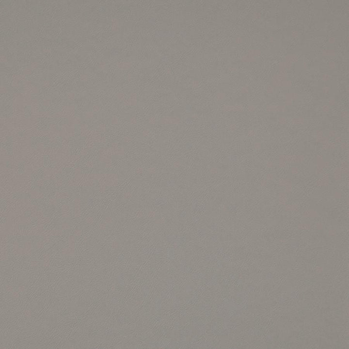 Trailrider # 115 Pebble by Maxwell Fabric Trailrider FACE: 100% POLYURETHANE (POLYCARBONATE)
BACKING: 100% POLYESTER CHINA 54" - Fabric Carolina -