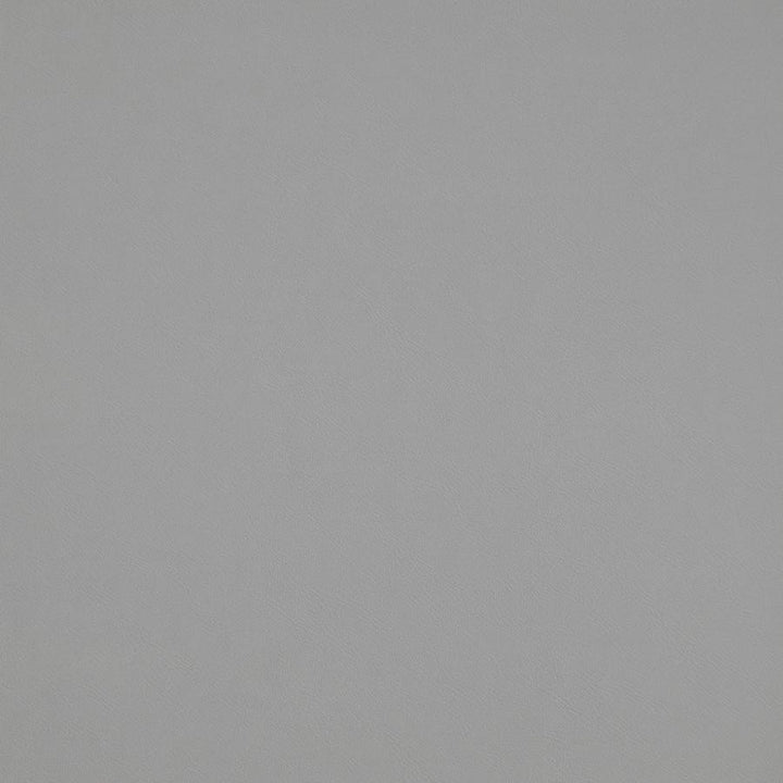 Trailrider # 116 Dawn by Maxwell Fabric Trailrider FACE: 100% POLYURETHANE (POLYCARBONATE)
BACKING: 100% POLYESTER CHINA 54" - Fabric Carolina -
