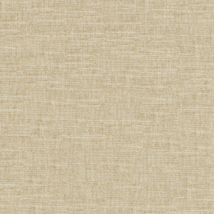 Tambo # 505 Seagrass by Maxwell Fabric