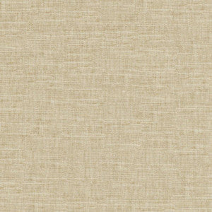Tambo # 505 Seagrass by Maxwell Fabric